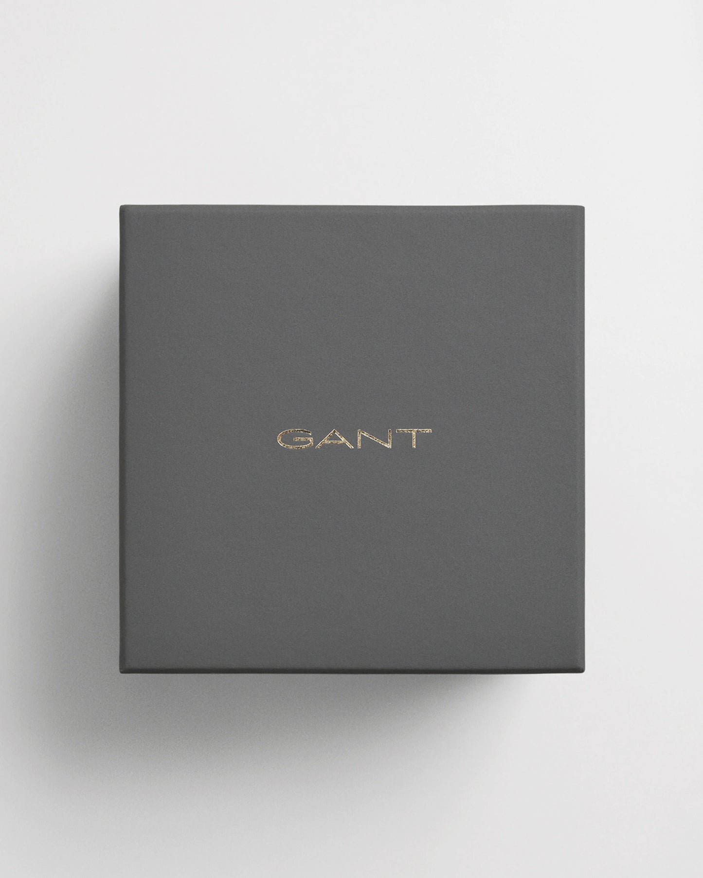 Gant Brown/Navy Park Hill ll Day-Date Watch