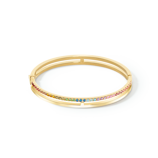 Eternal Unity bangle gold-rainbow