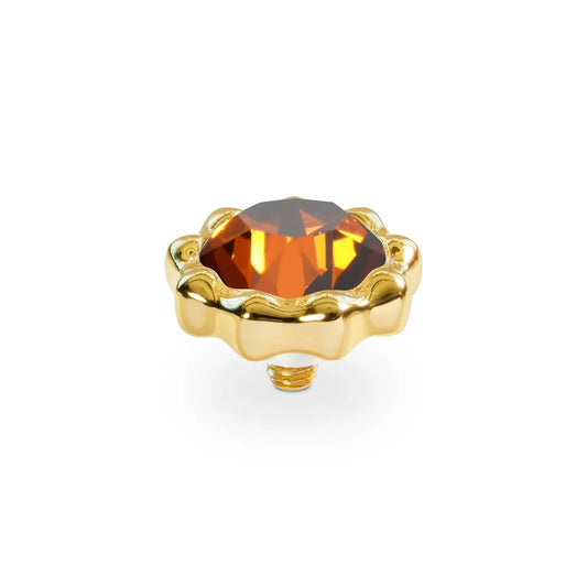 Golden Organico Top 8,5 mm Smoked Amber