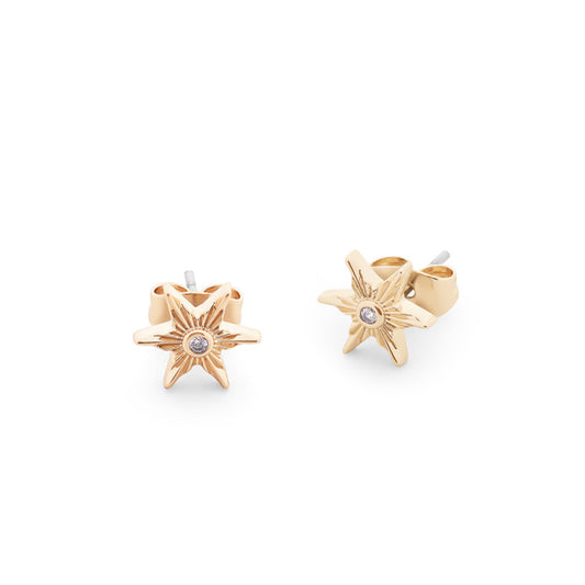 TC COMPASS STAR STUD EARRINGS GOLD