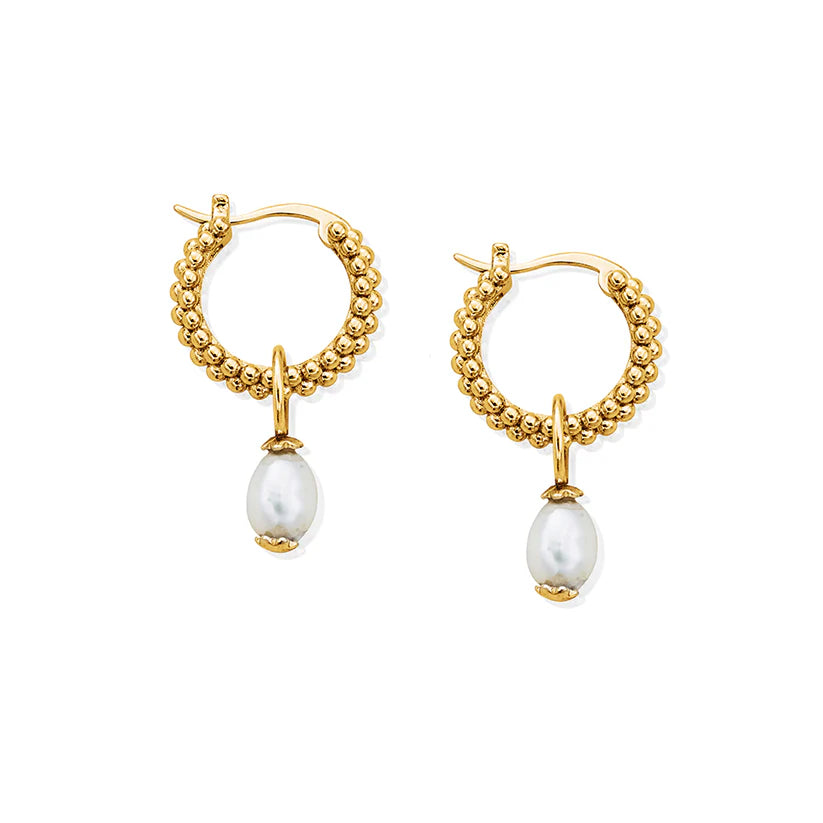 Gold Pearl Tale of Tide Hoops