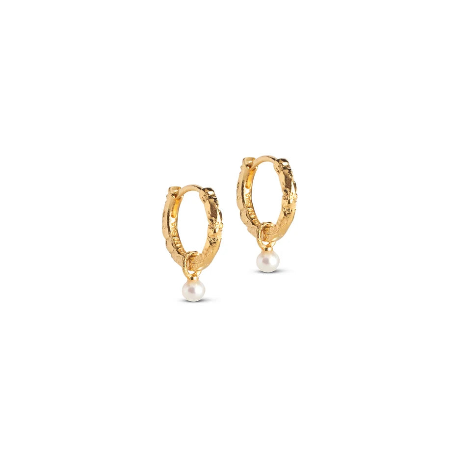 Gold Belle Pearl Hoops