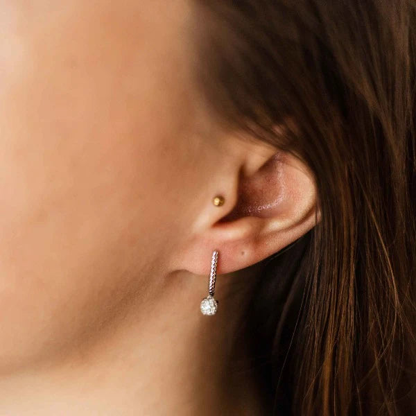 Dangling Dashing Details Pave Earrings
