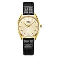 Rotary Ladies Ultra Slim Black Strap Champagne Dial