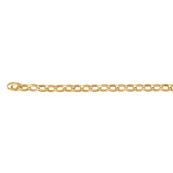 PermaJewel Yellow Gold Oval Rolo Chain Bracelet.