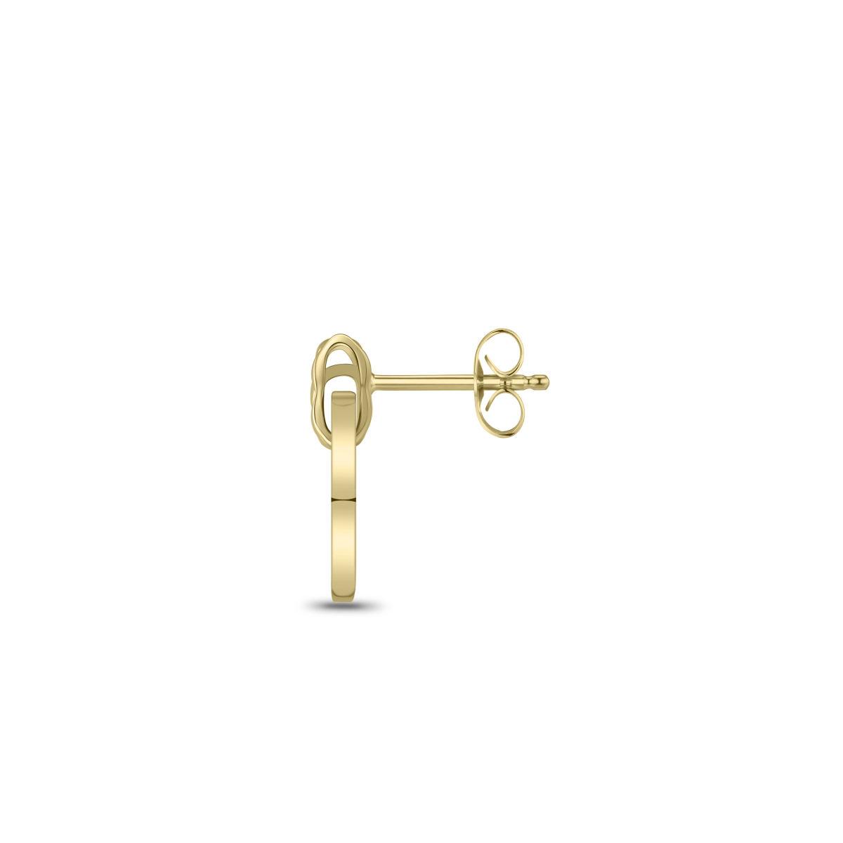 Golden Cz Circle Drop Earrings