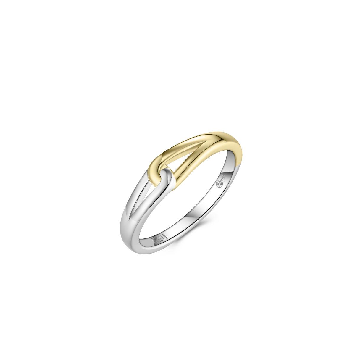 Mixed Metal Link Ring